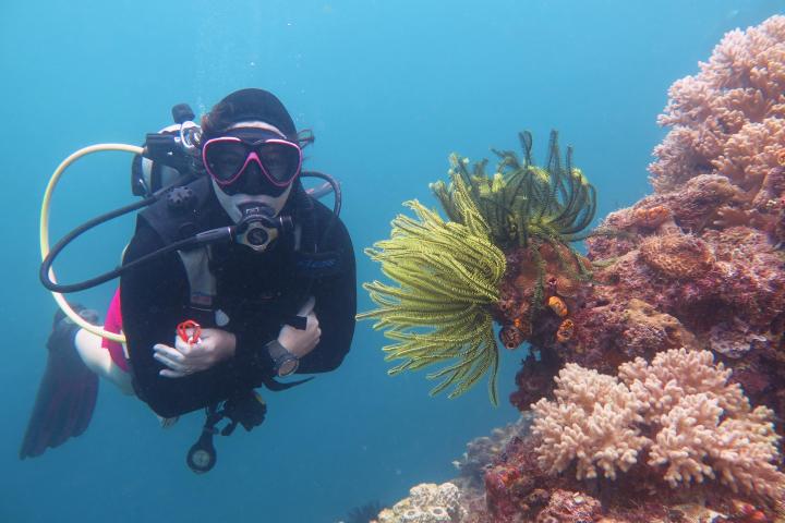 a PADI instructor doing an introductory dive